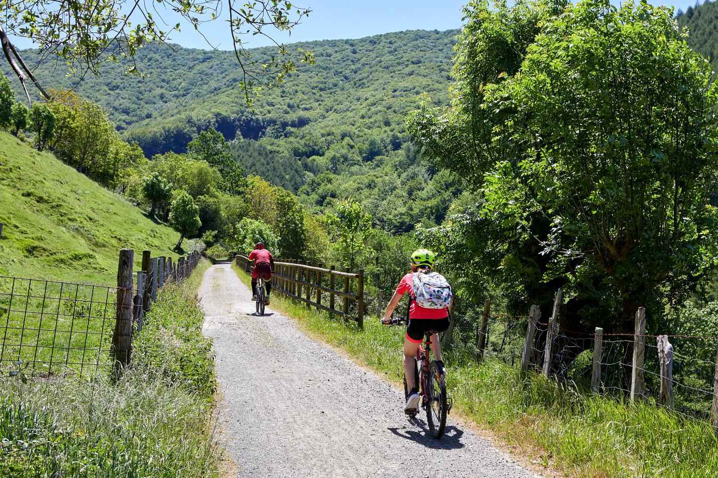 pareja en bici por paisaje verde